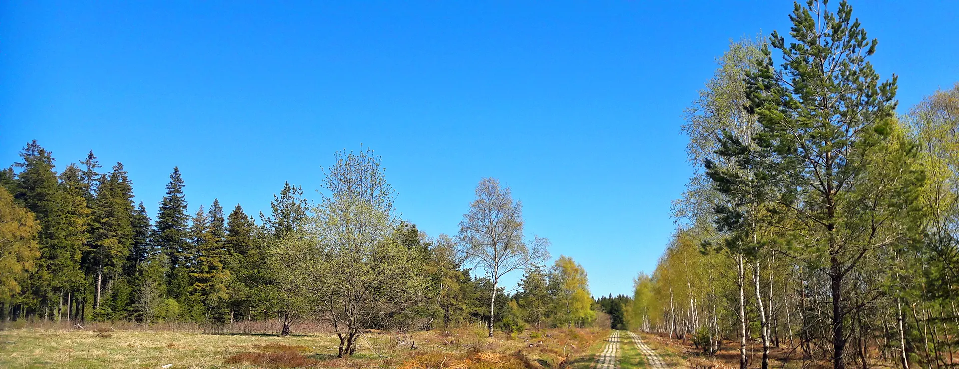 MVN Neuhaus GmbH - Neuhaus am Rennweg