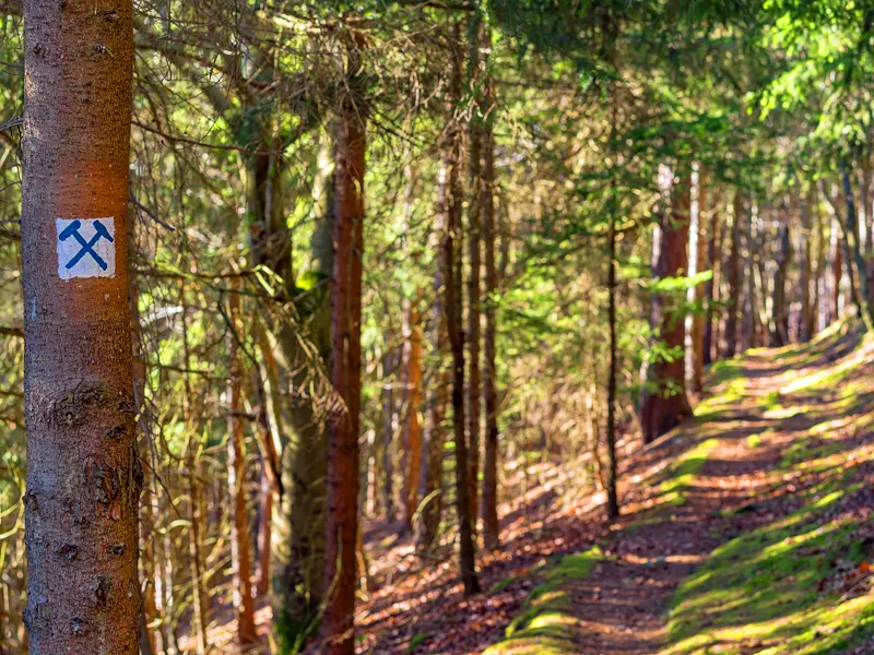 Schieferpfad bei Gräfenthal